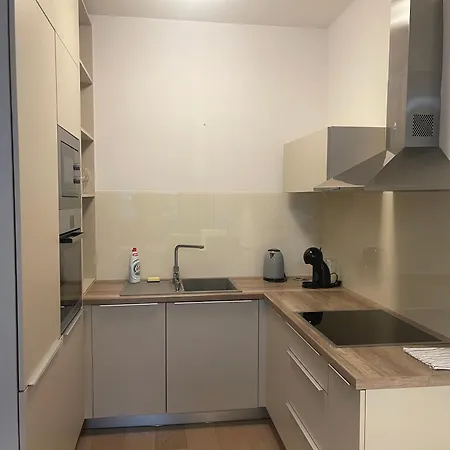 Lejlighed Sag Panorama Business 2 Free Parking *